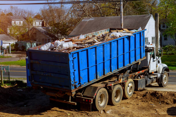 Debris Removal in Pearl Beach, MI