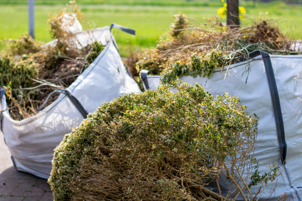 Reliable Pearl Beach, MI Junk Removal Solutions